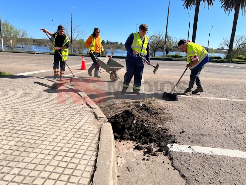 Intendencia de Soriano avanza en la recuperación de las zonas costeras de Mercedes — imagen 2