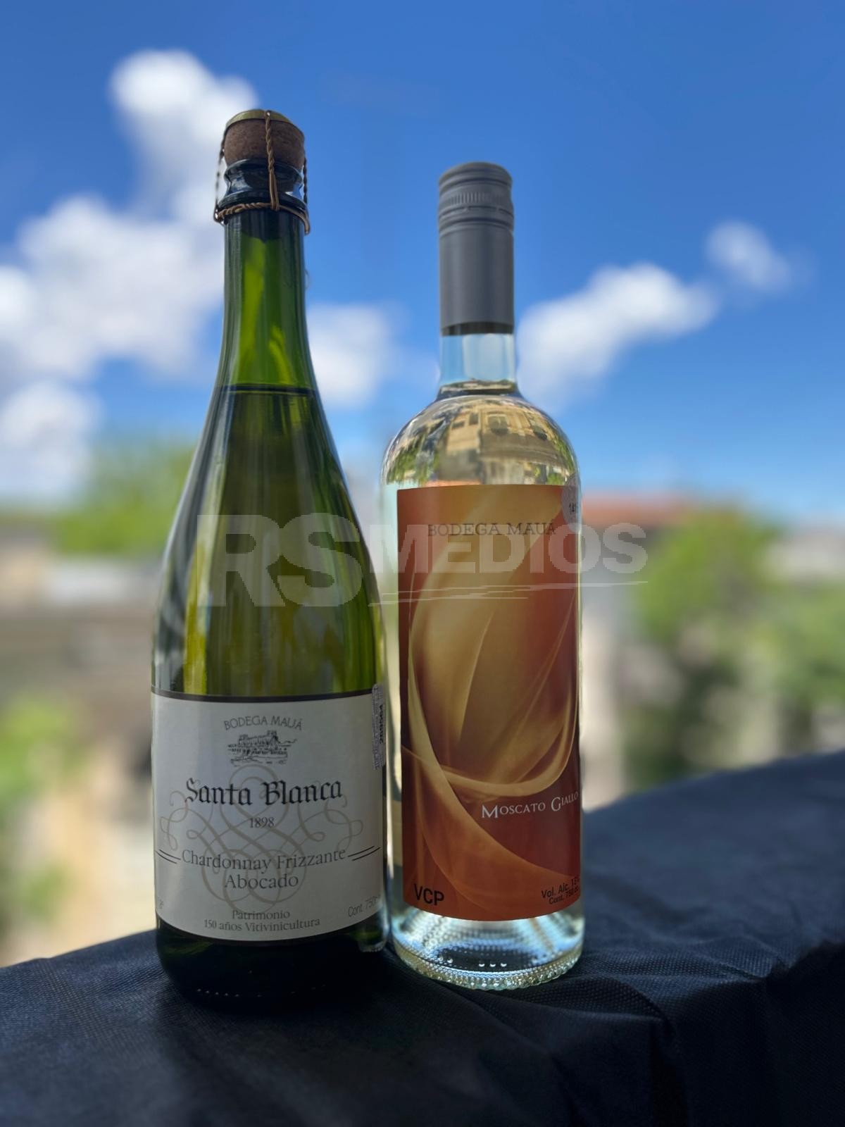 Soriano invertirá $ 6.518.112 en la Bodega Mauá para impulsar el enoturismo — imagen 1