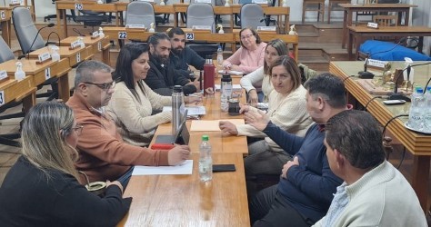 Diputados por Soriano analizan con la Junta la ordenanza sobre pirotecnia sonora