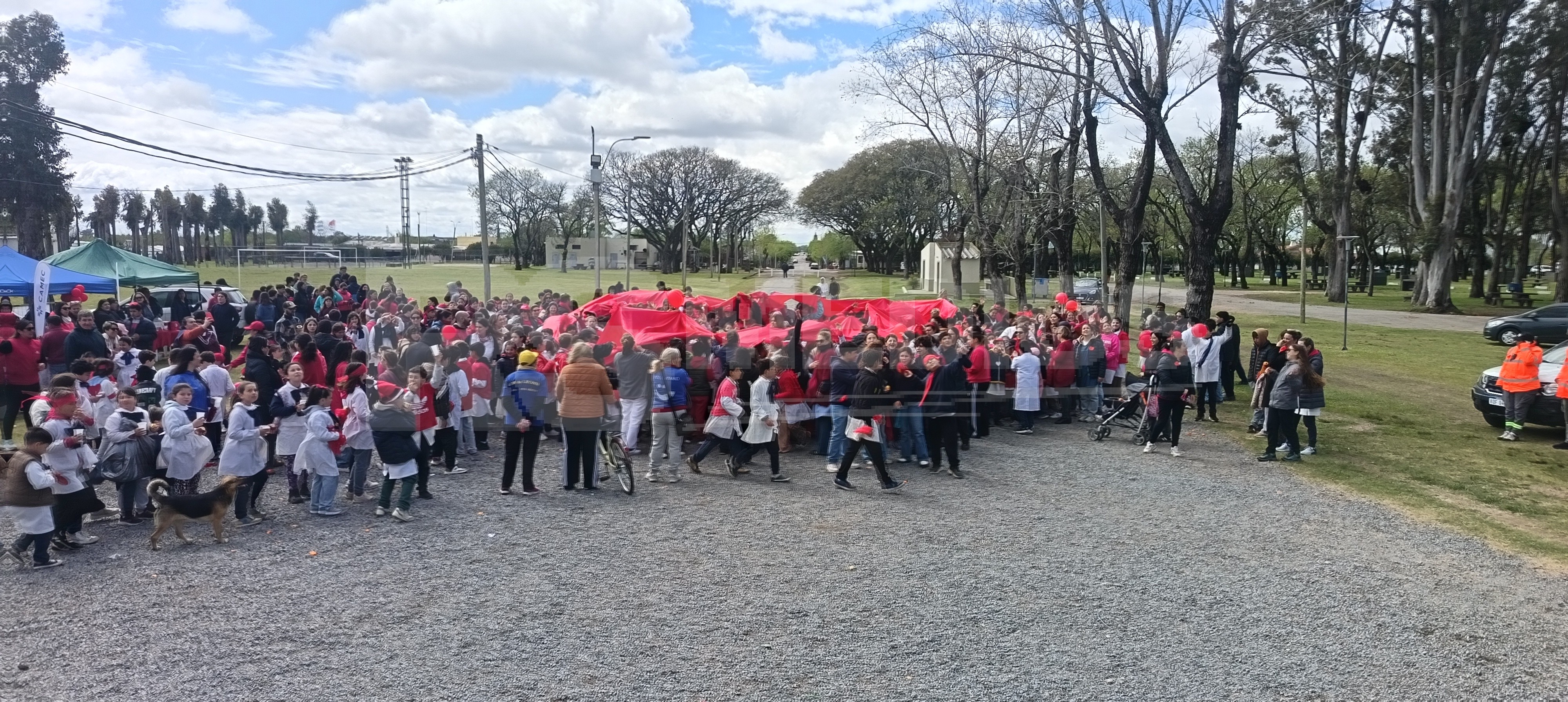 Caminata por el Día Internacional del Corazón en Cardona
