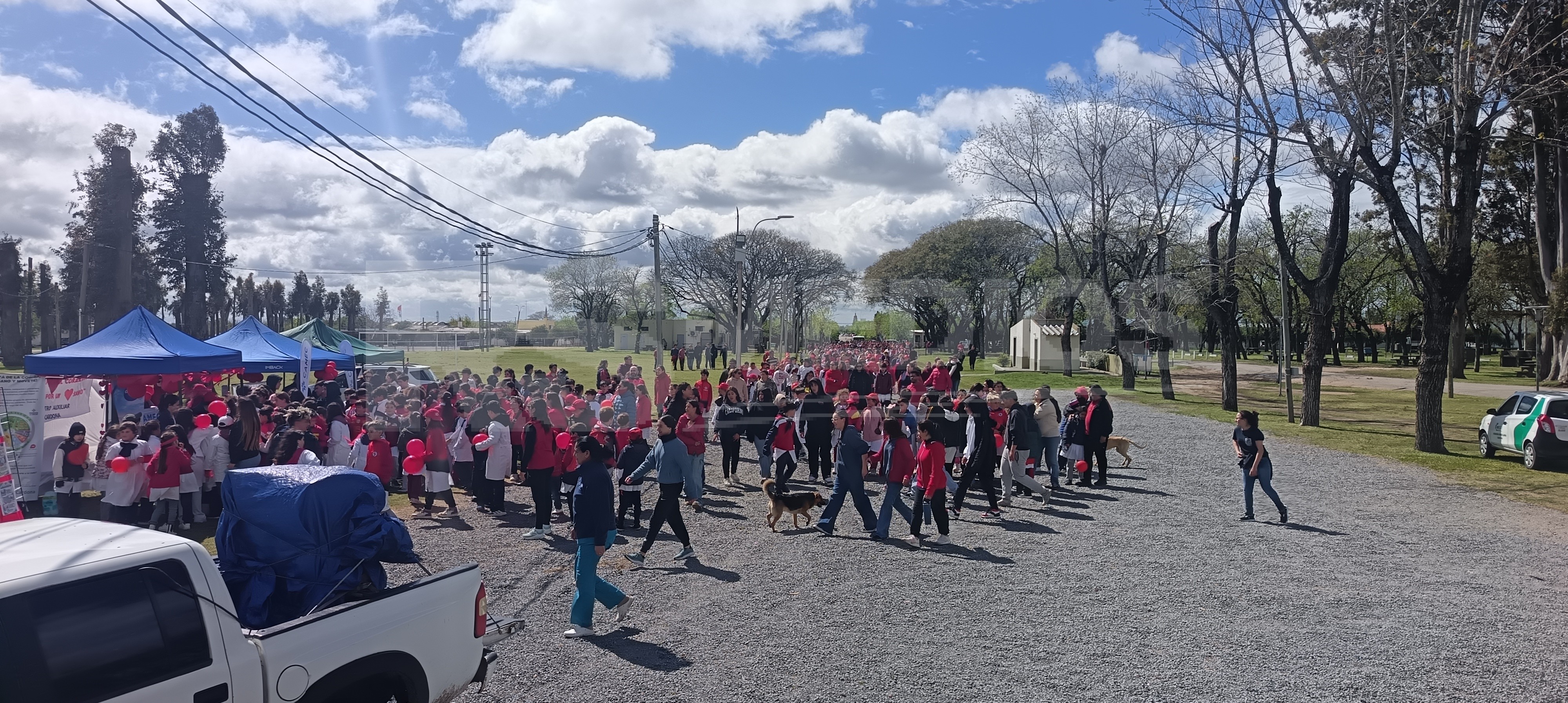 Caminata por el Día Internacional del Corazón en Cardona — imagen 2