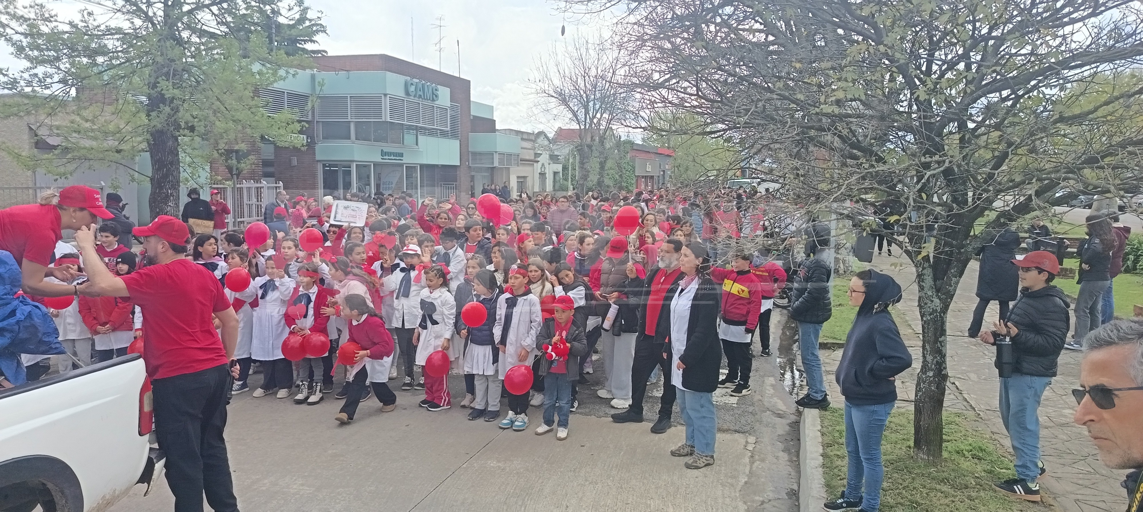 Caminata por el Día Internacional del Corazón en Cardona — imagen 7