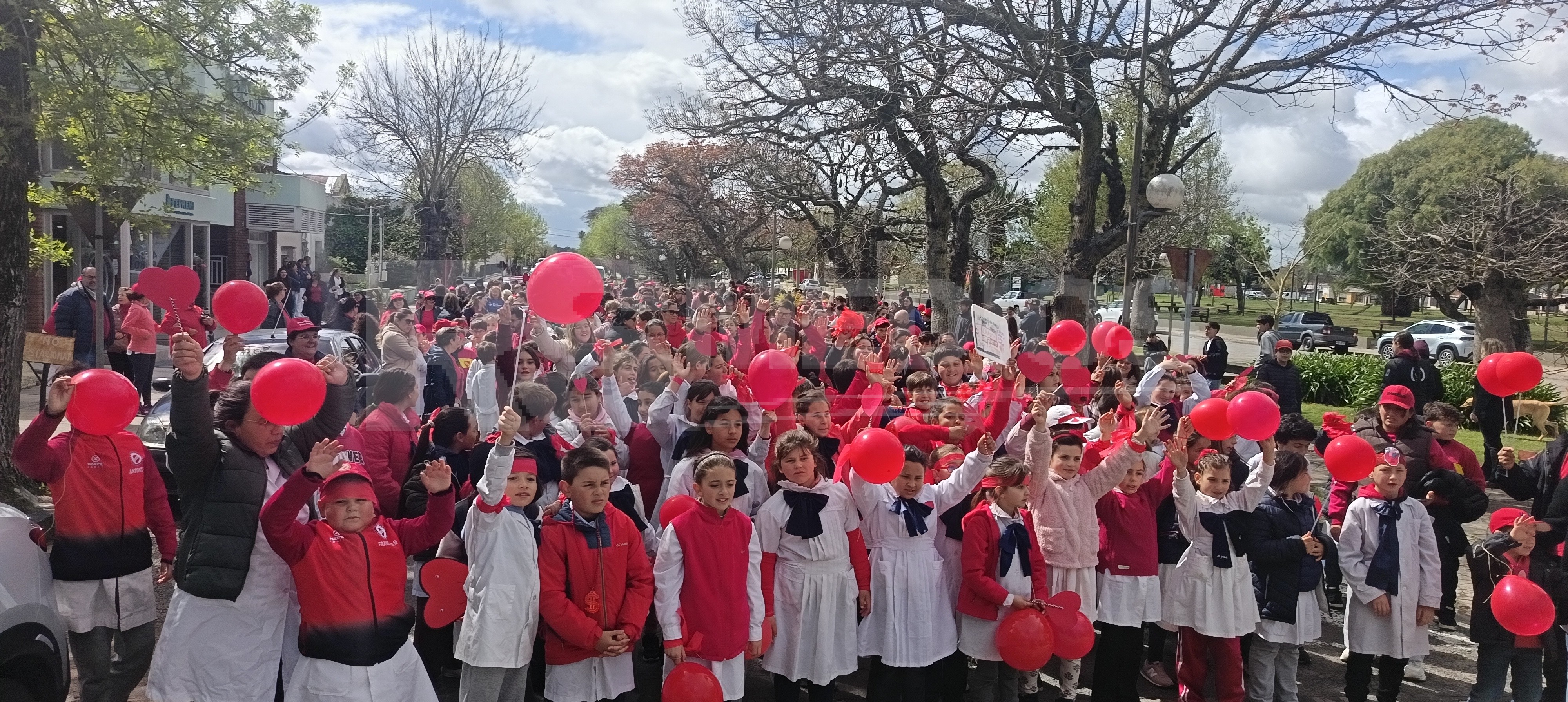 Caminata por el Día Internacional del Corazón en Cardona — imagen 8