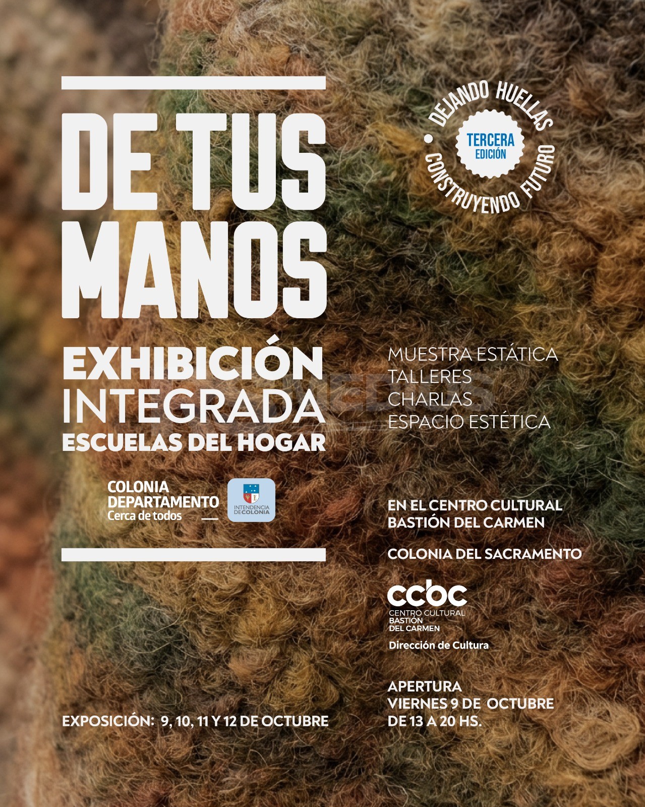 Exhibición Integrada de las 15 Escuelas del Hogar del Departamento